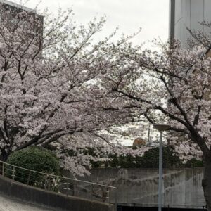 作業風景＆オフショット