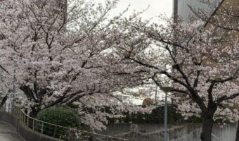 作業風景＆オフショット