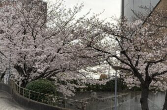 作業風景＆オフショット